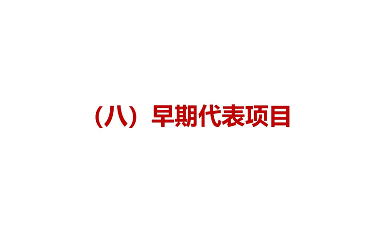 项目类别